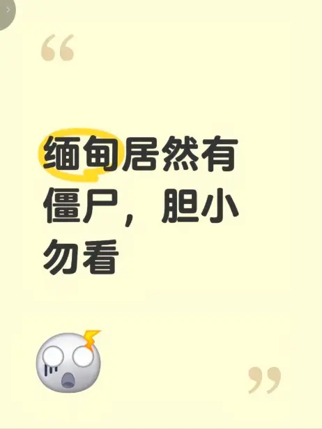 《缅甸僵尸出土事件》高清完整版在线免费播放 - 揭秘缅北神秘事件真相 - 缅甸僵尸出土事件视频全程录像无删减