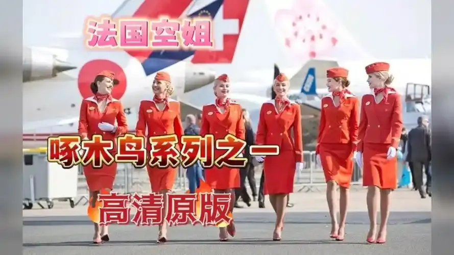 《法国空姐4》资源下载-法国空姐4完整版超高清在线观看-无卡顿高清播放-免费观看