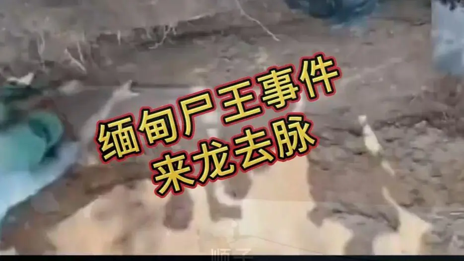 缅甸僵尸出土事件视频完整版资源在线观看 - 《缅甸僵尸出土事件视频》免费播放高清下载无广告